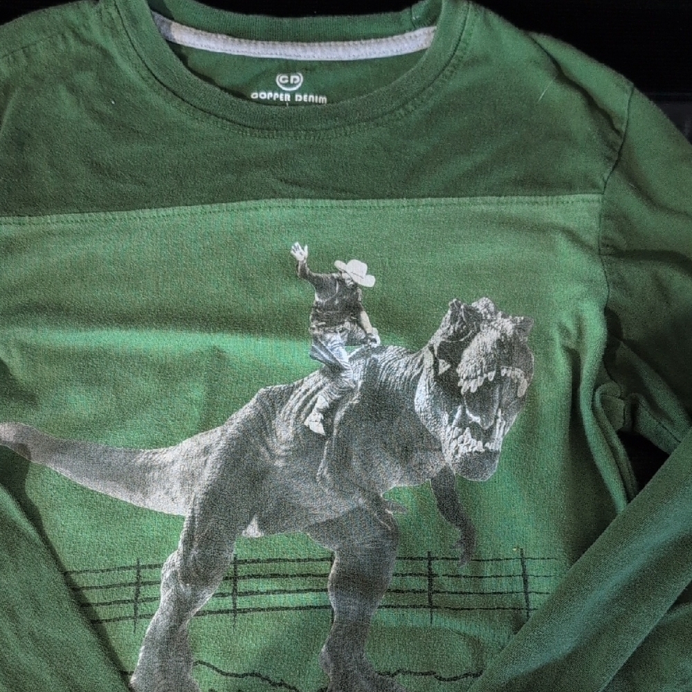 Copper Denim Boys' Green Long Sleeve Graphic Tee / Place Teal Sweater